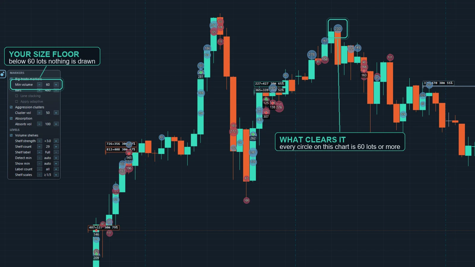 OrderVane Lite on-chart panel — size, cluster and absorption thresholds.
